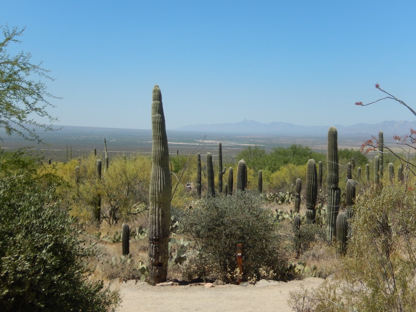 5/8/2022 - Initial View