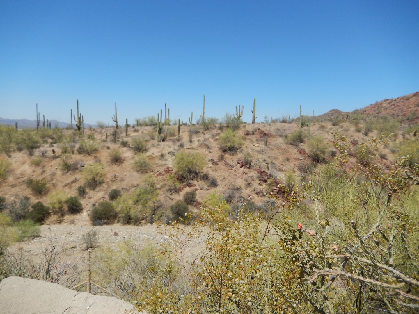 5/8/2022 - Old Riverbed