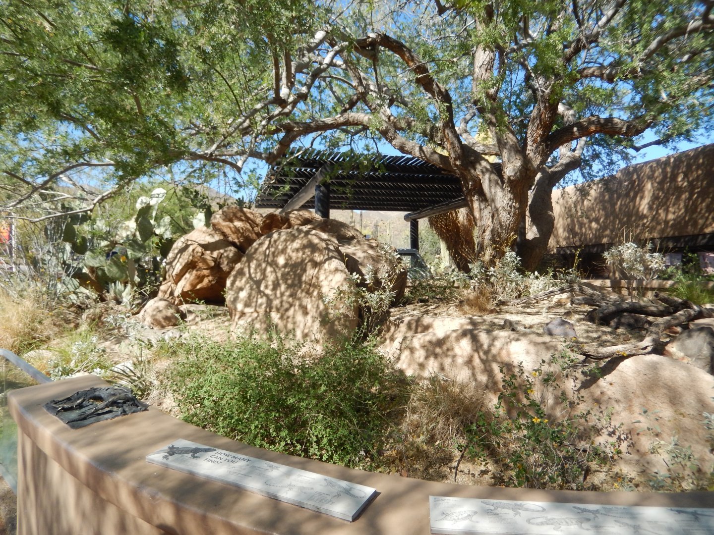 5/8/2022 - Reptile Entrance Habitat