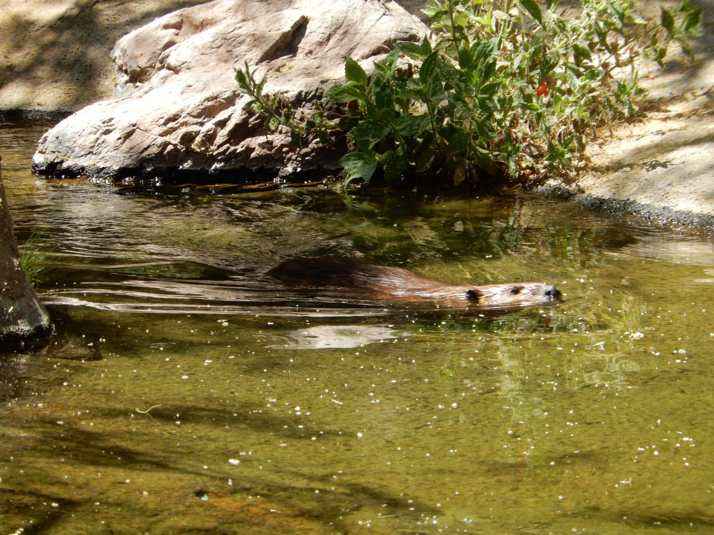 5/8/2022 - So Refreshing!