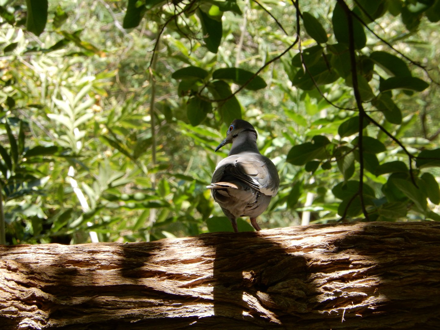 5/8/2022 - Turning Back on Me