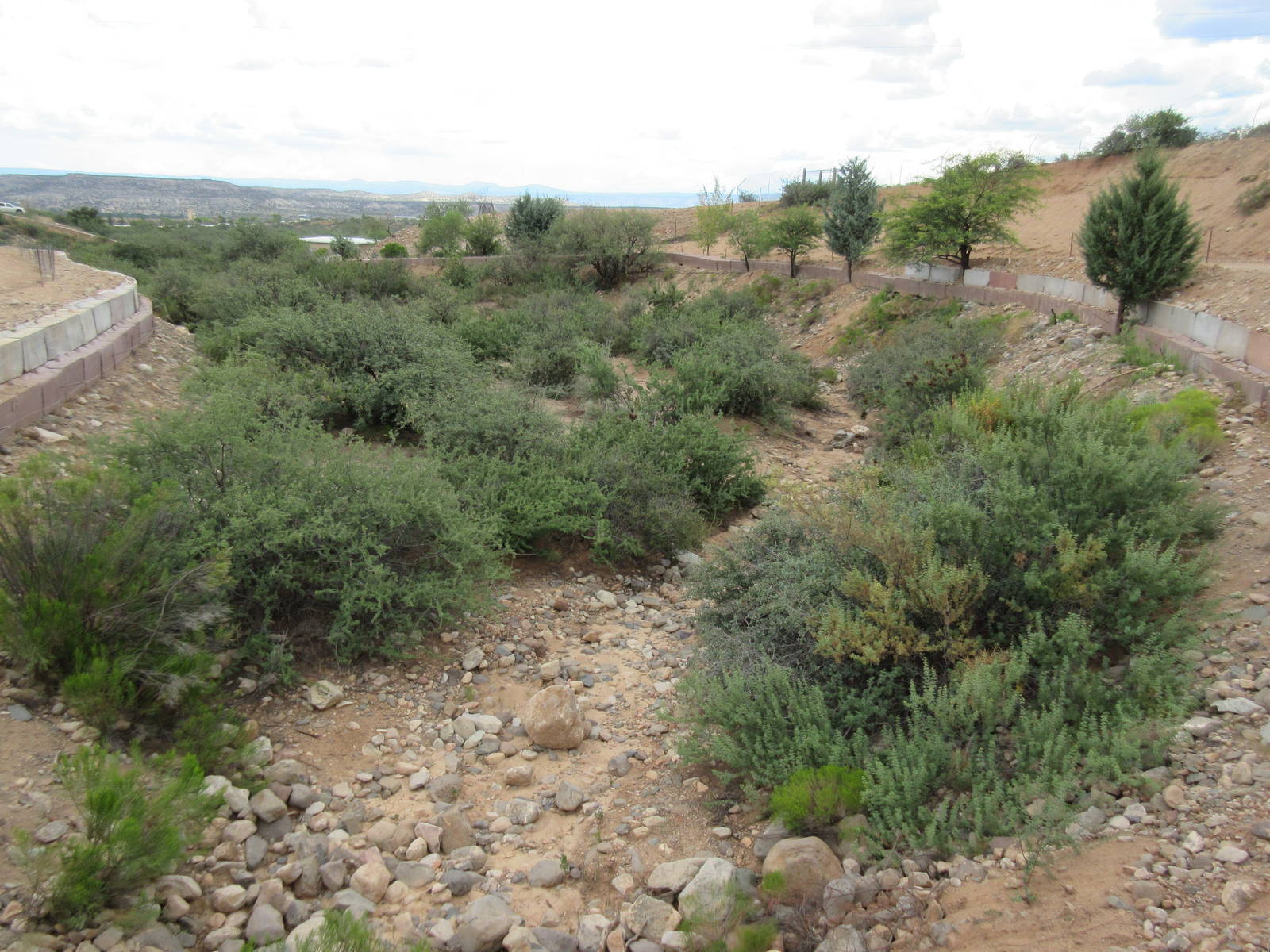 5-Acre White Rhino Exhibit (for a single male named Jericho)