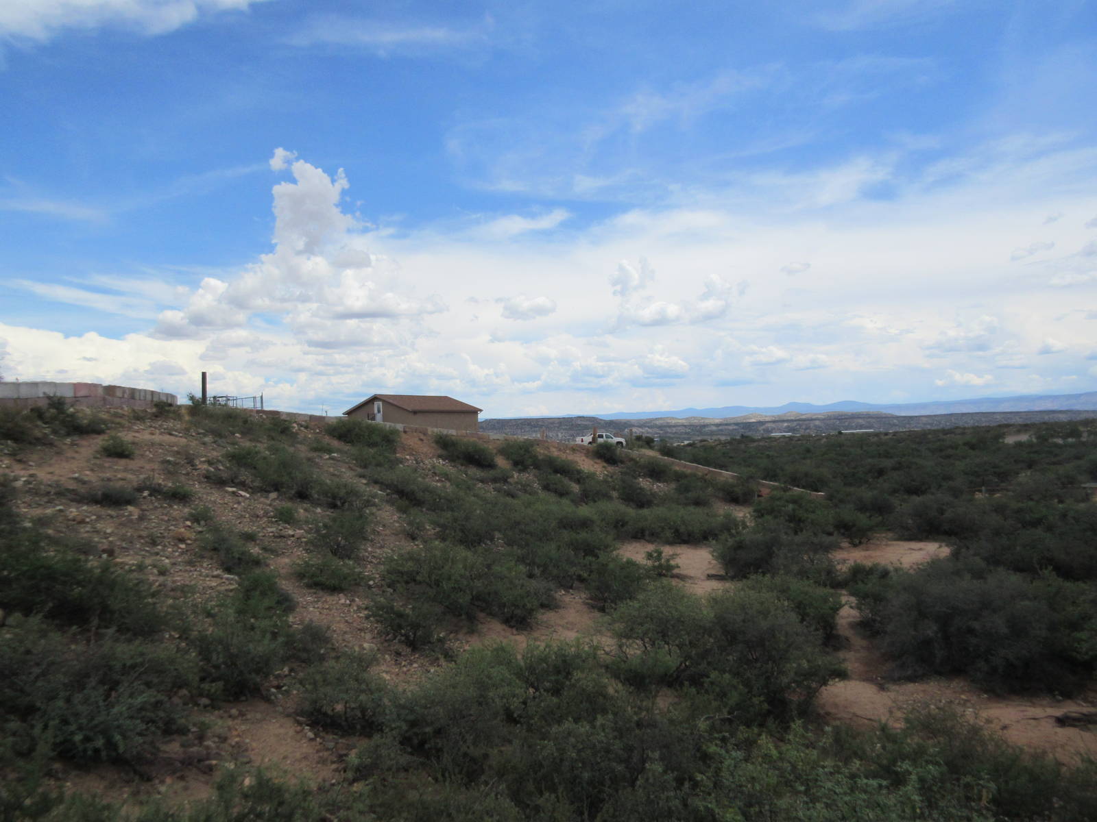 5-Acre White Rhino Exhibit (for a single male named Jericho)