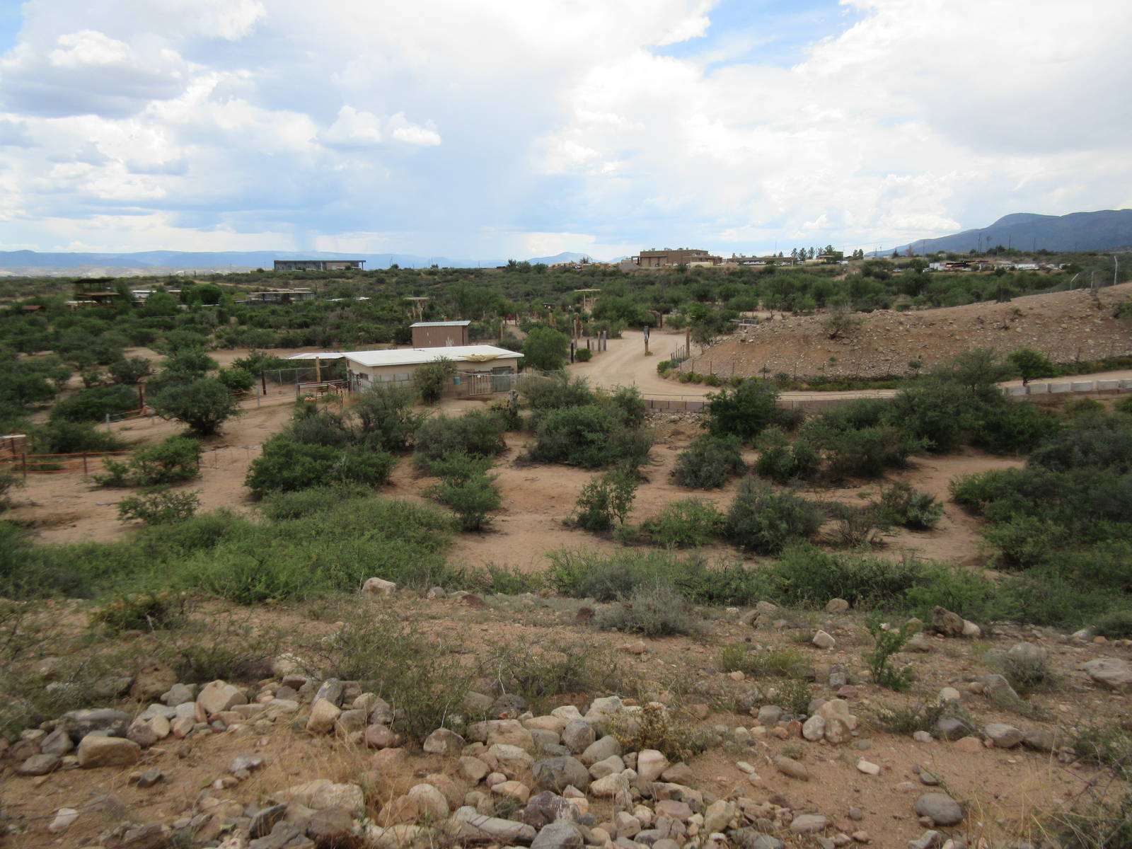 5-Acre White Rhino Exhibit (for a single male named Jericho)