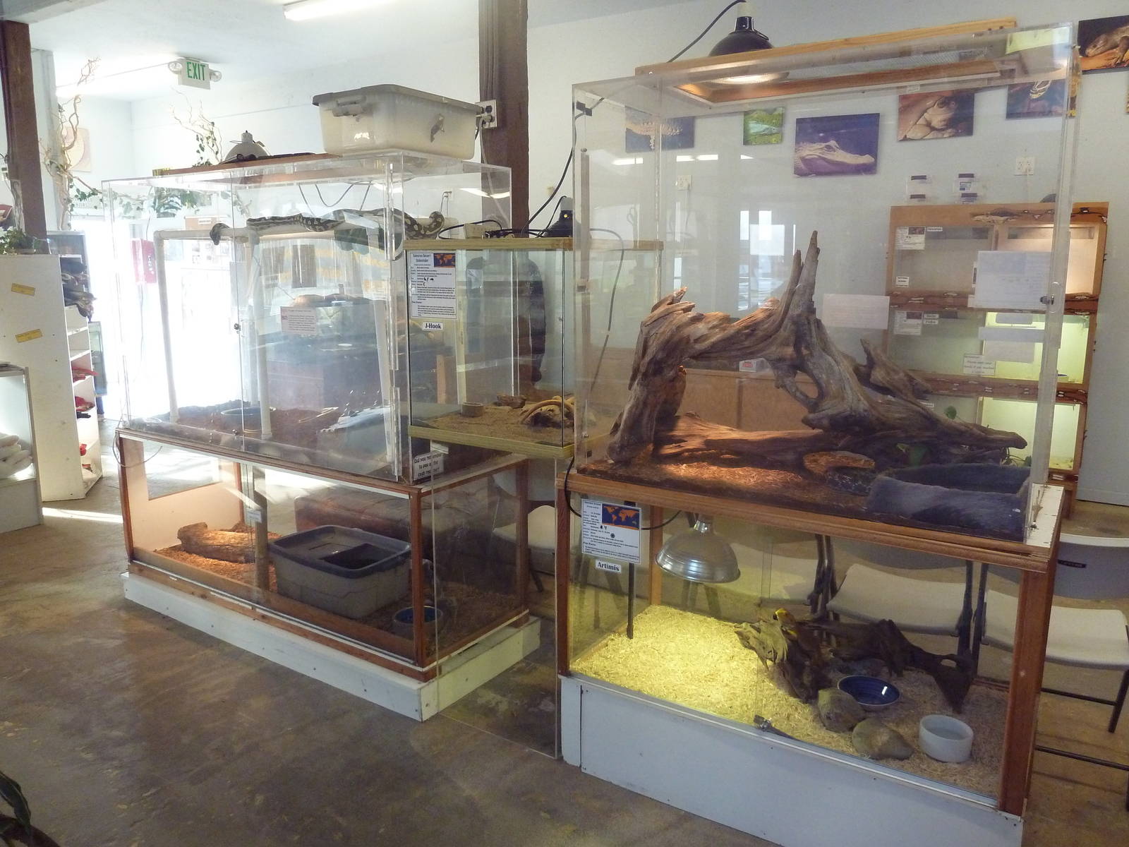 5 Exhibits (6 Species - see below )