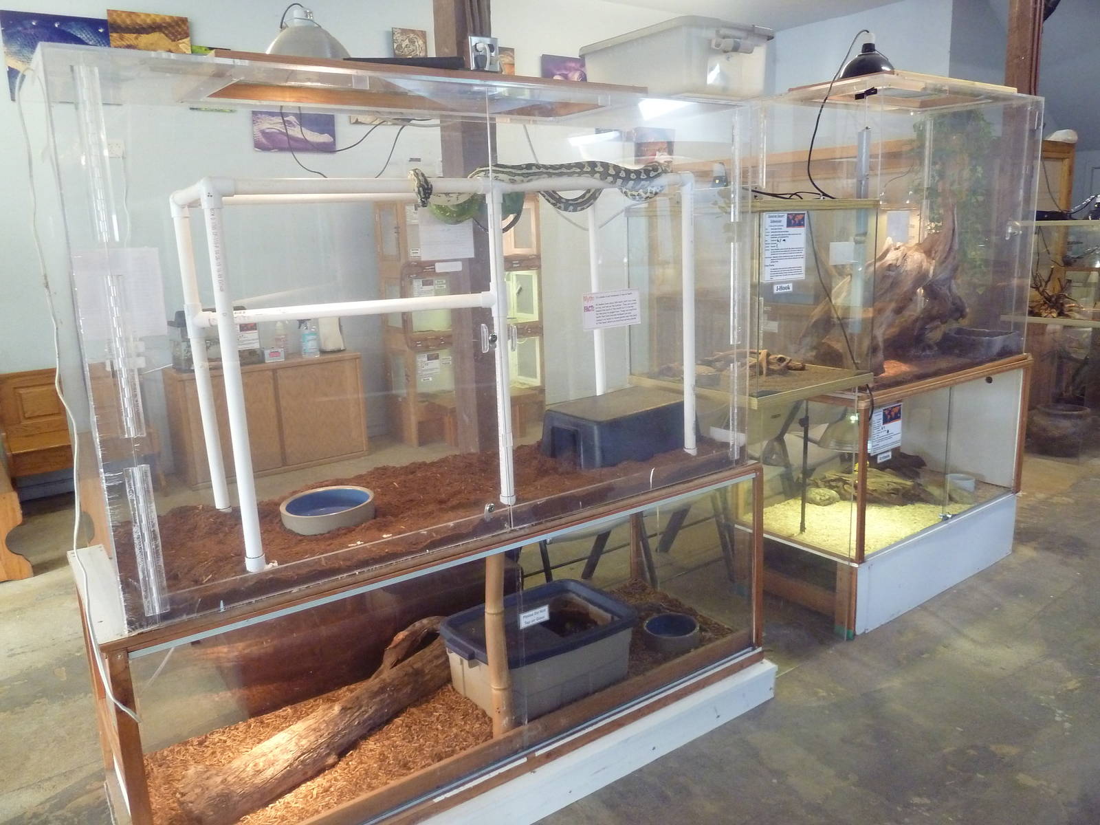 5 Exhibits (6 Species - see below)