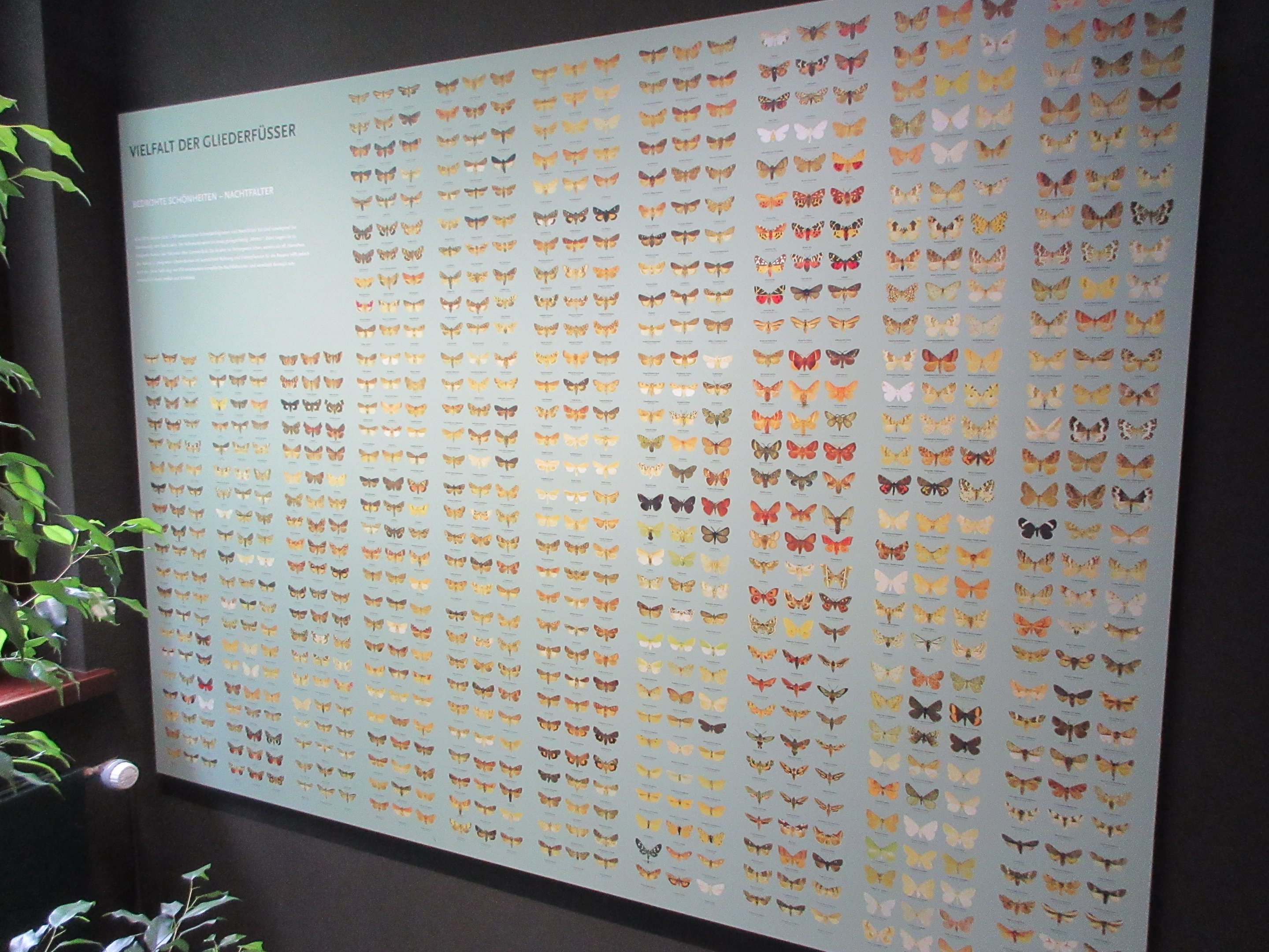 5-Foot High Poster (incredibly detailed)