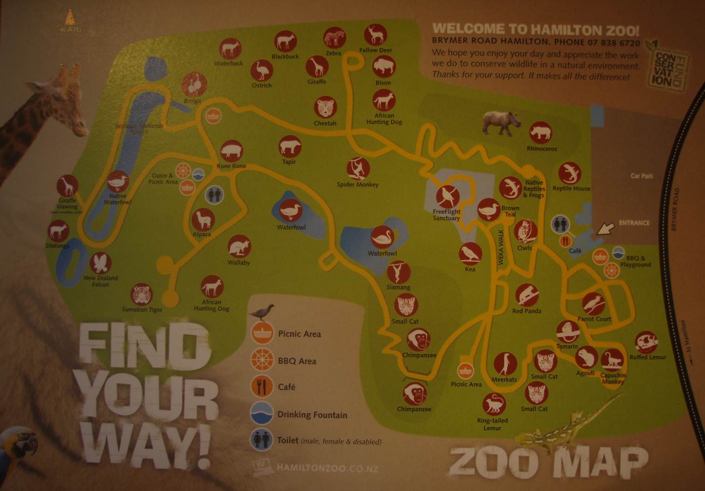 5 - Hamilton Zoo Map (June 2011)