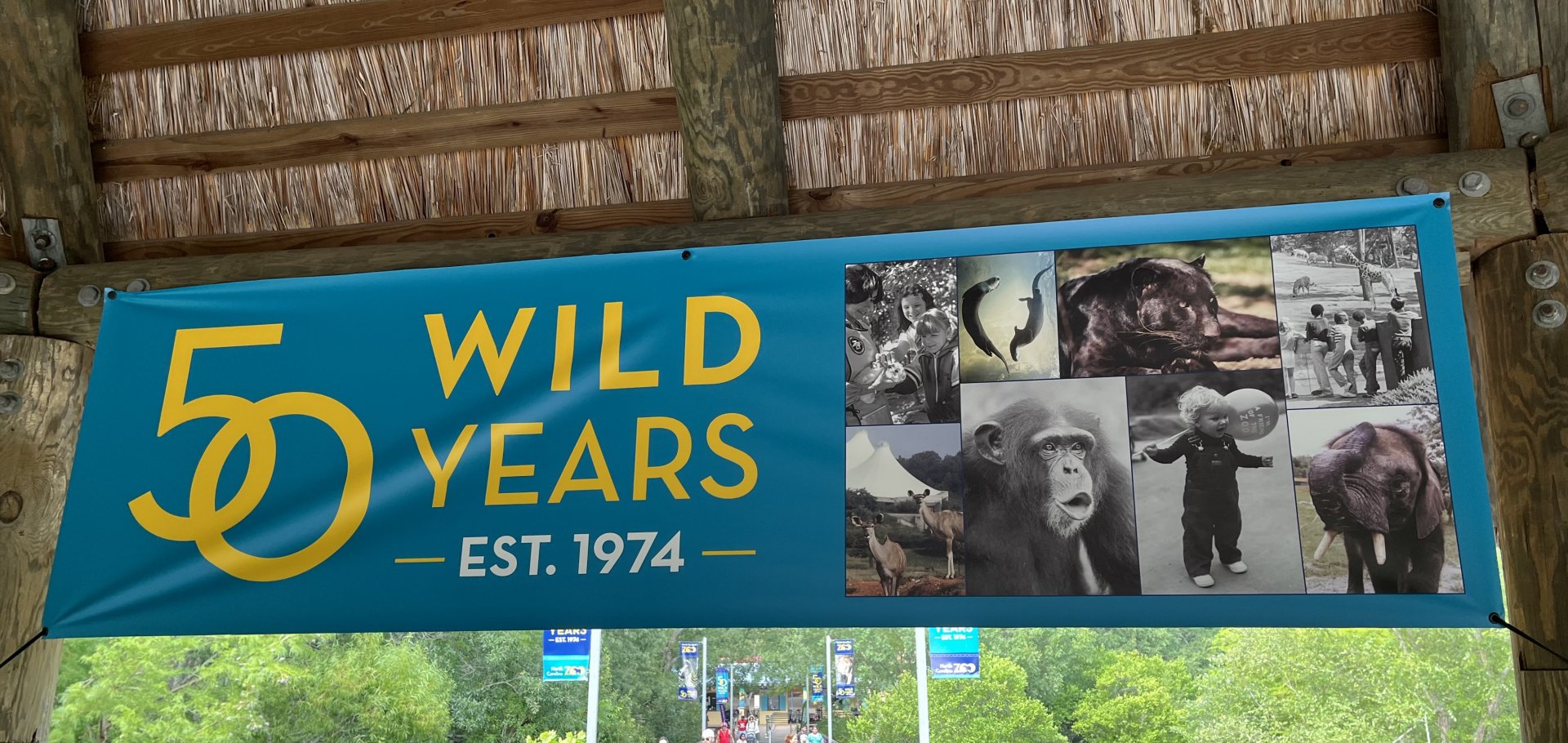 50 Wild Years Banner on Africa Bridge