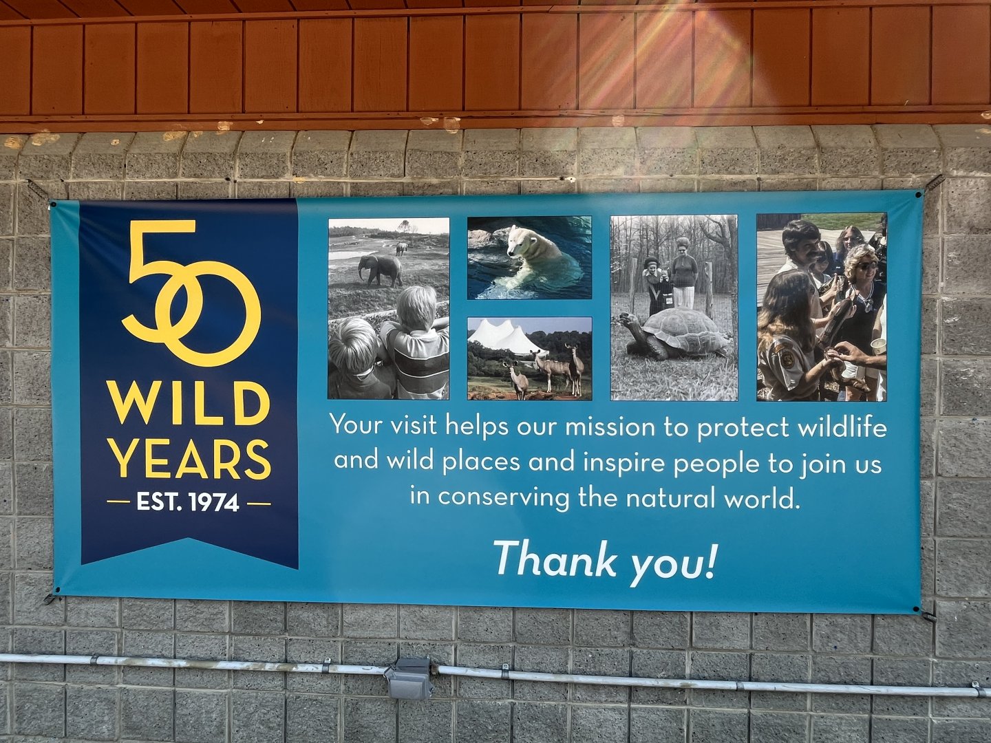 50 Wild Years Banner