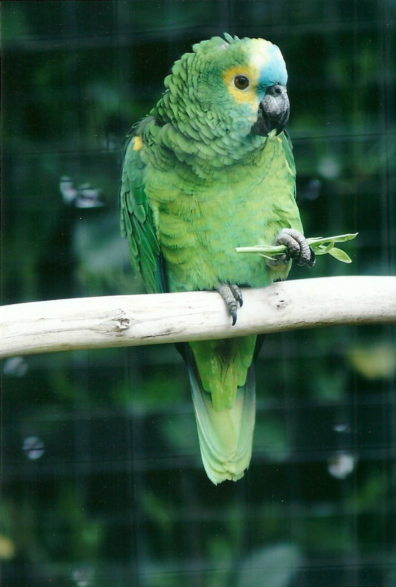 50th Anniversary 18th May 2013