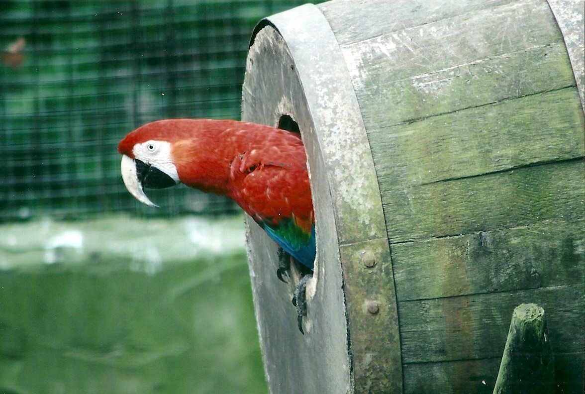 50th Anniversary 18th May 2013