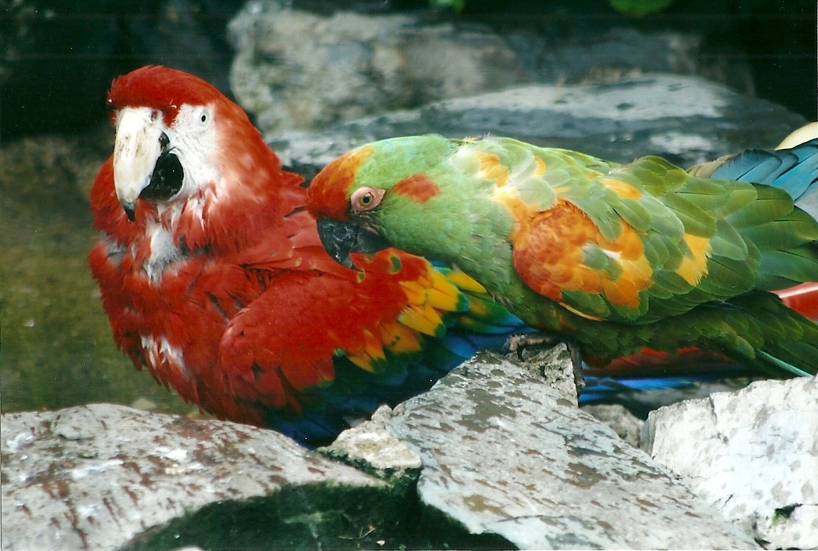 50th Anniversary 18th May 2013