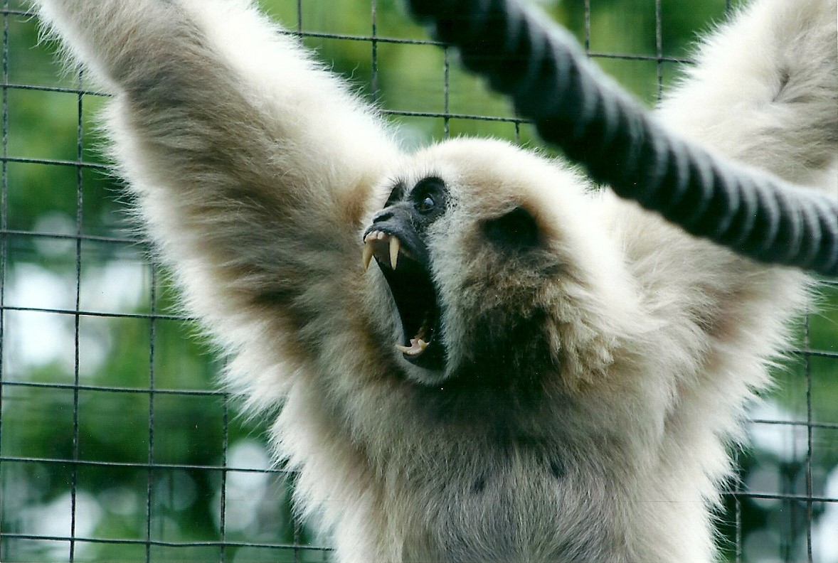 50th Anniversary 18th May 2013