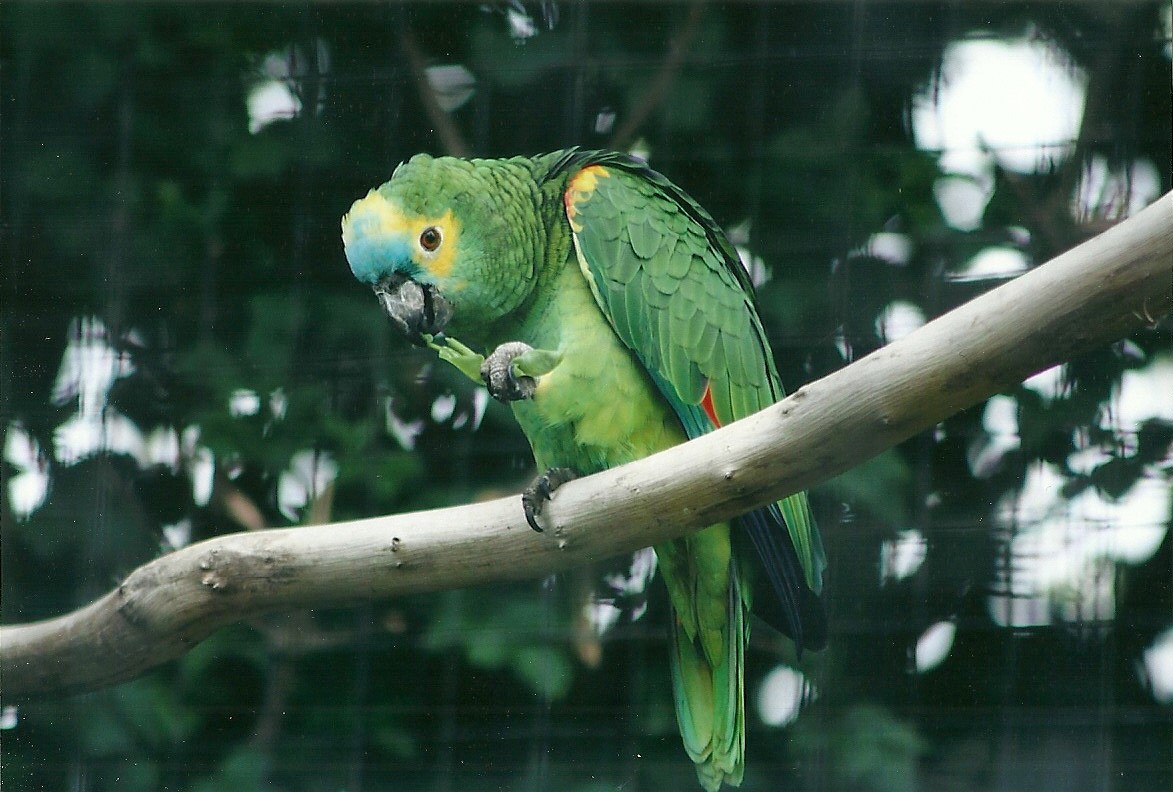 50th Anniversary 18th May 2013