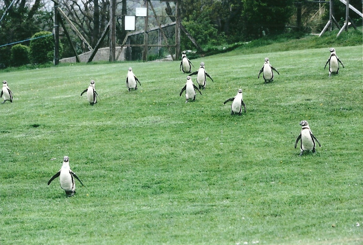 50th Anniversary 18th May 2013