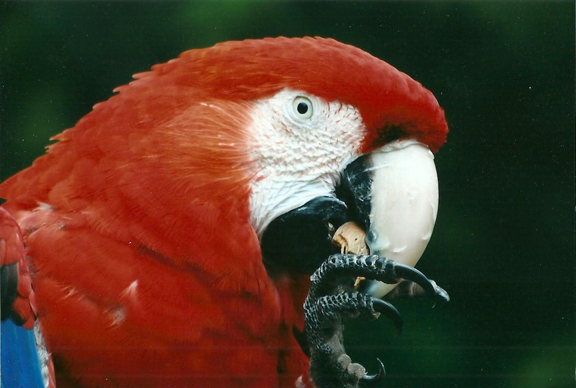 50th Anniversary 18th May 2013