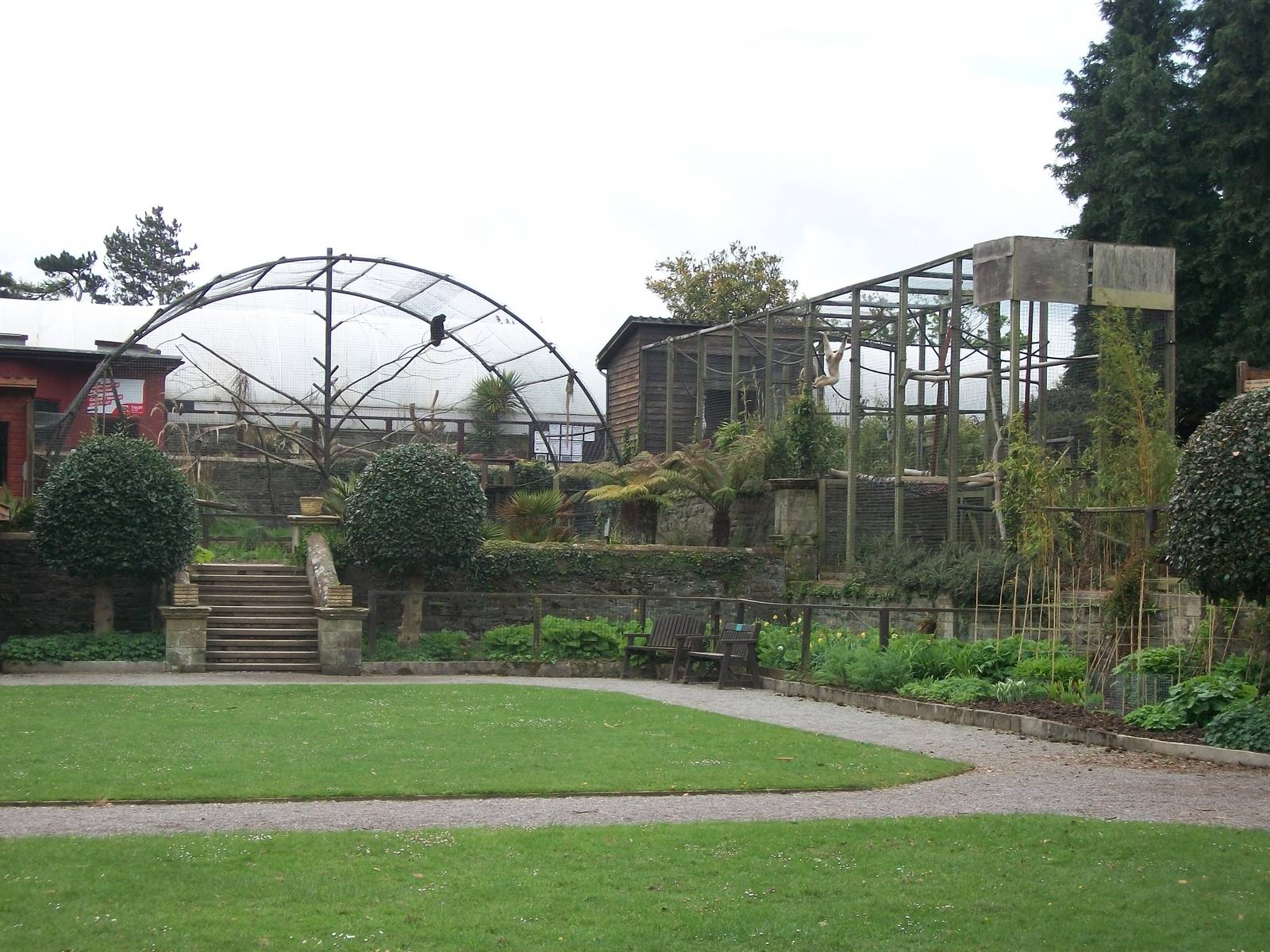 50th Anniversary 18th May 2013