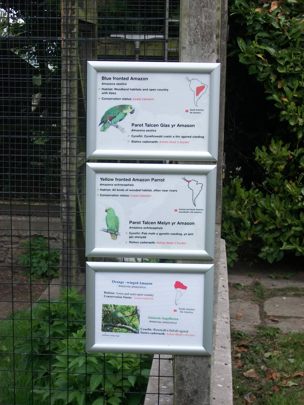 50th Anniversary 18th May 2013