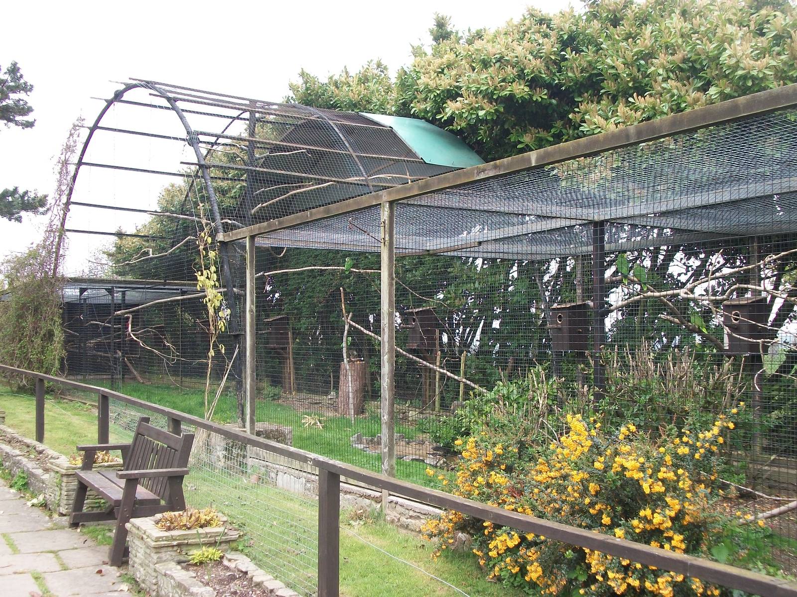 50th Anniversary 18th May 2013