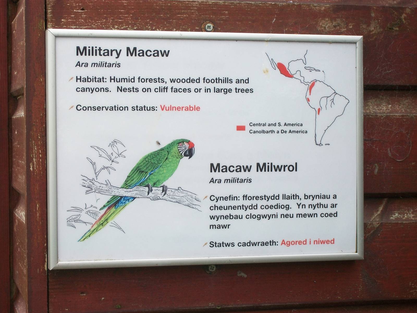 50th Anniversary 18th May 2013