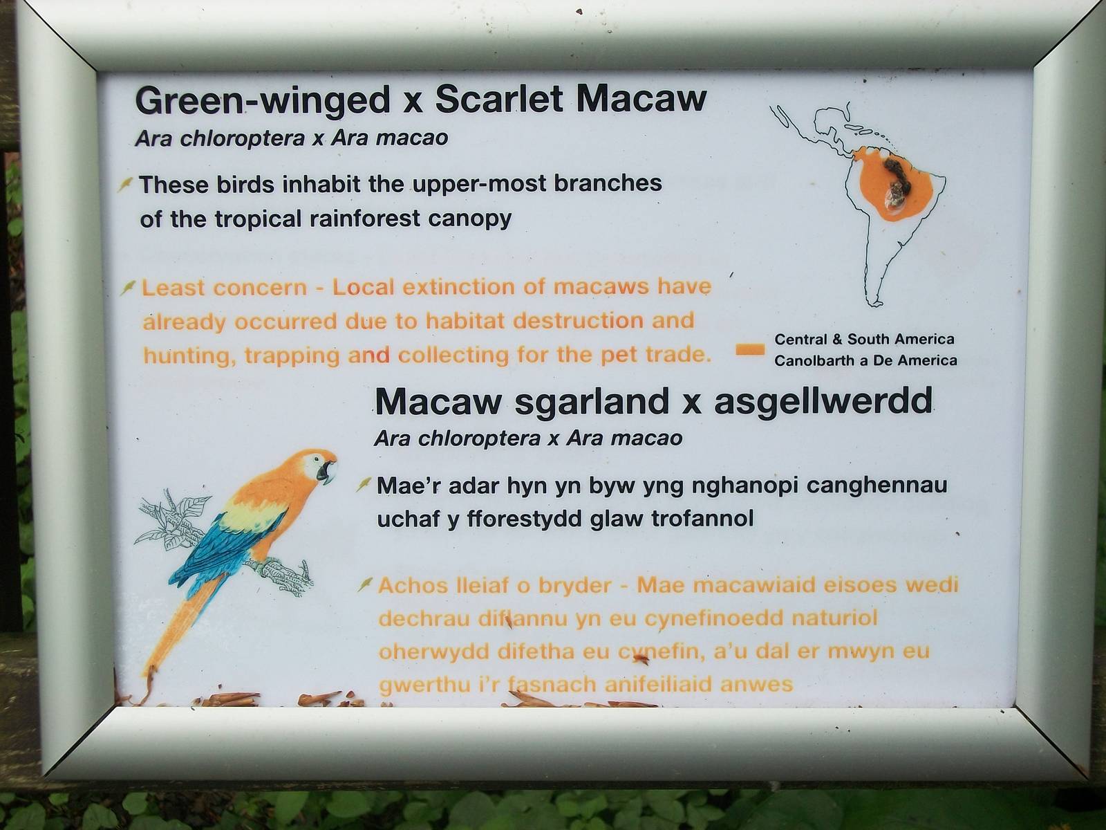 50th Anniversary 18th May 2013