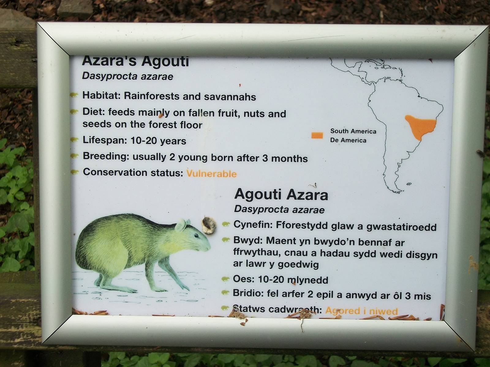 50th Anniversary 18th May 2013