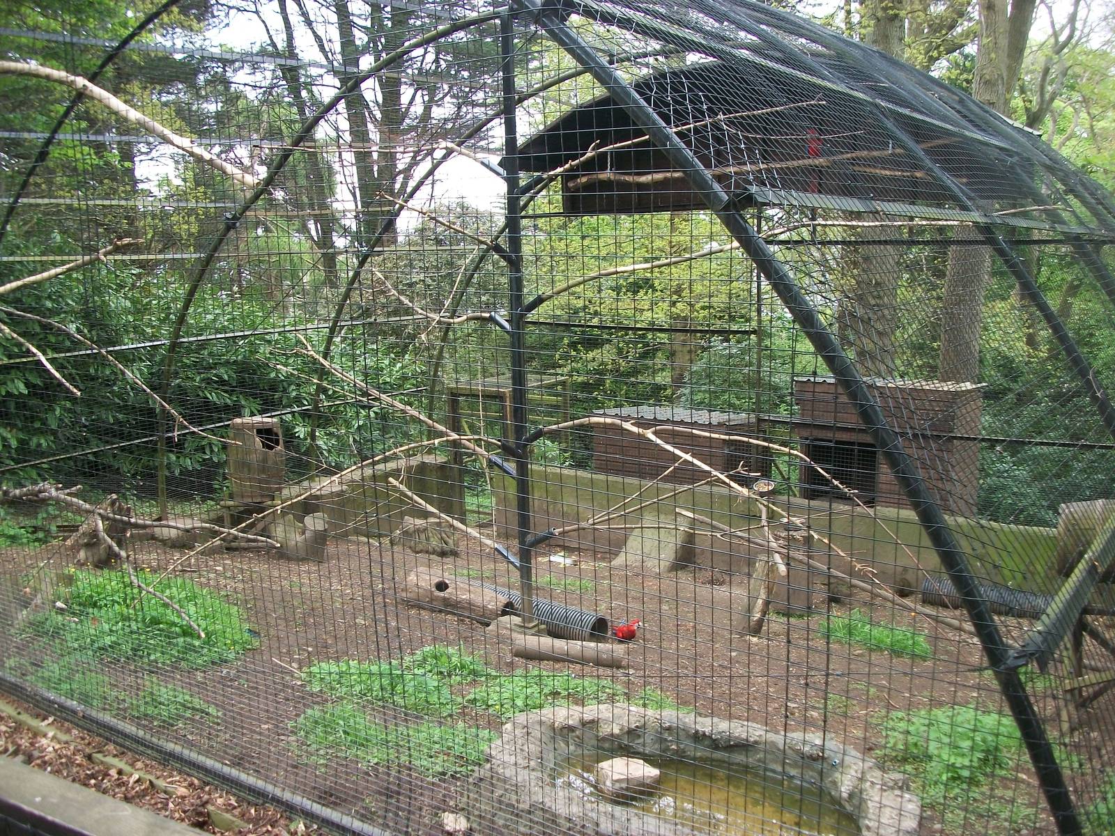 50th Anniversary 18th May 2013