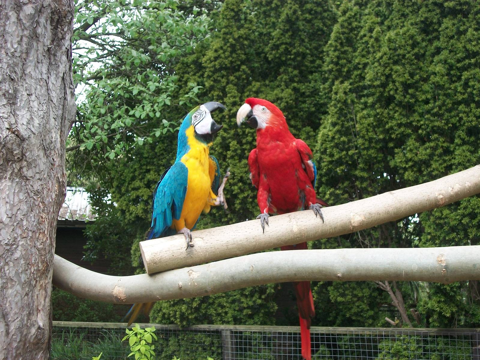 50th Anniversary 18th May 2013