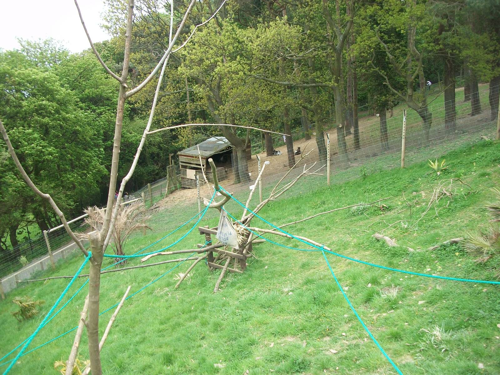 50th Anniversary 18th May 2013