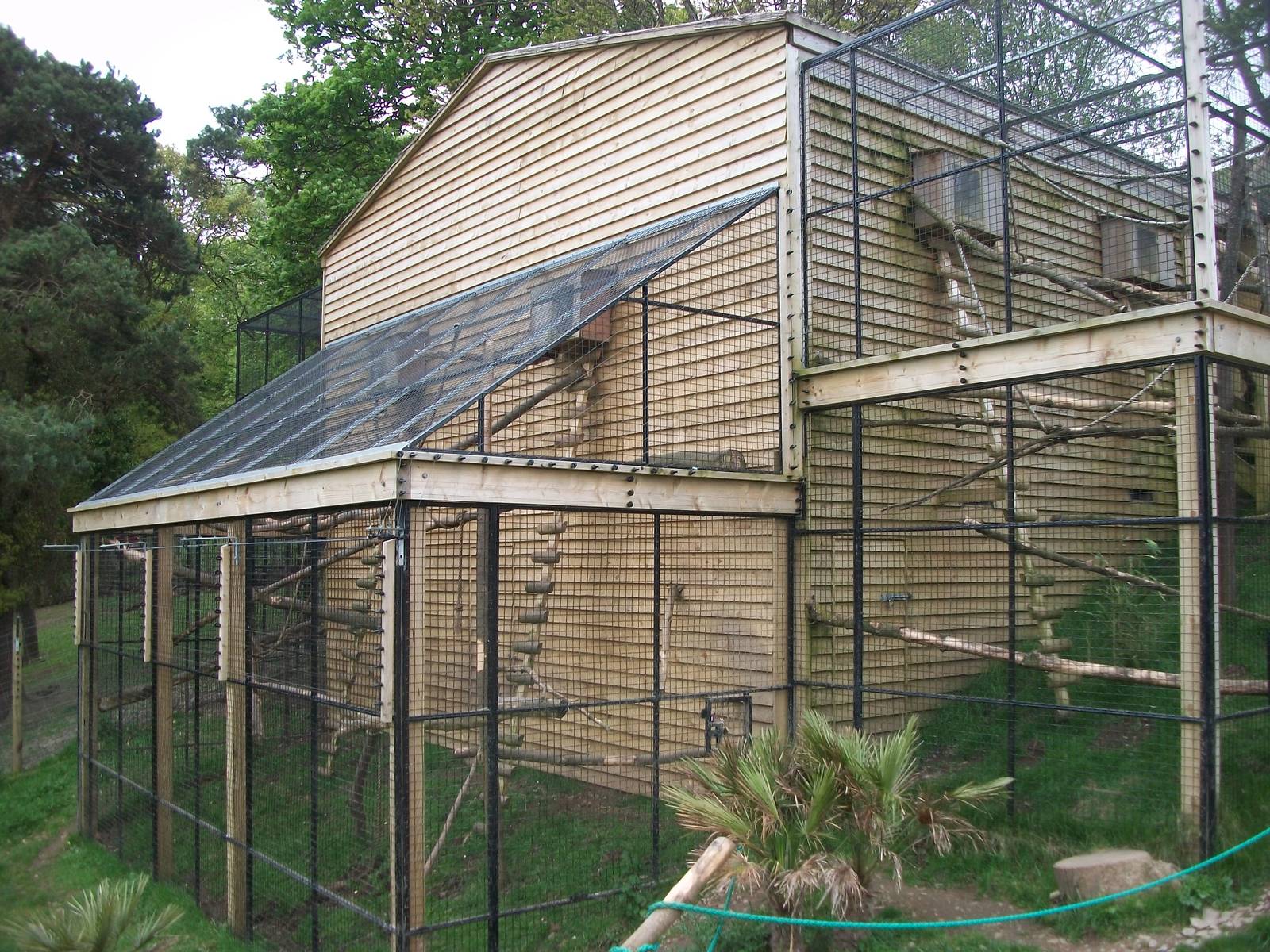 50th Anniversary 18th May 2013