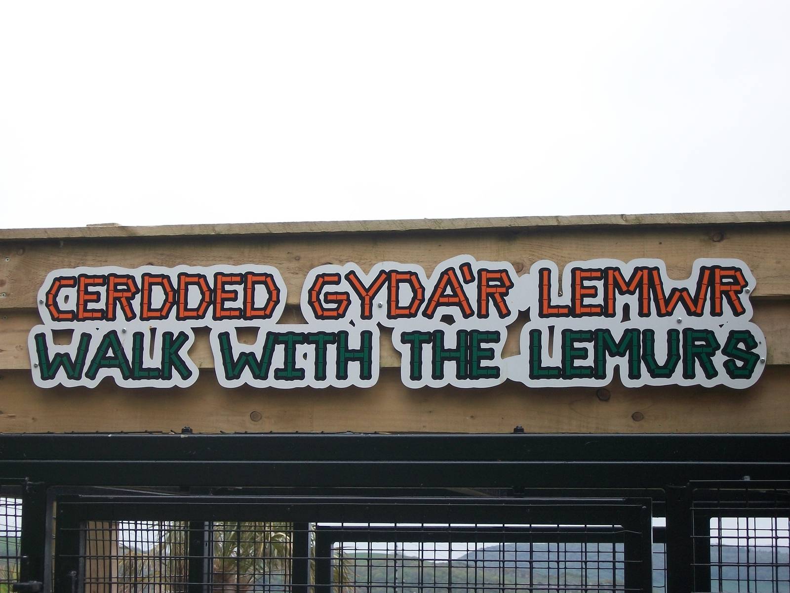 50th Anniversary 18th May 2013