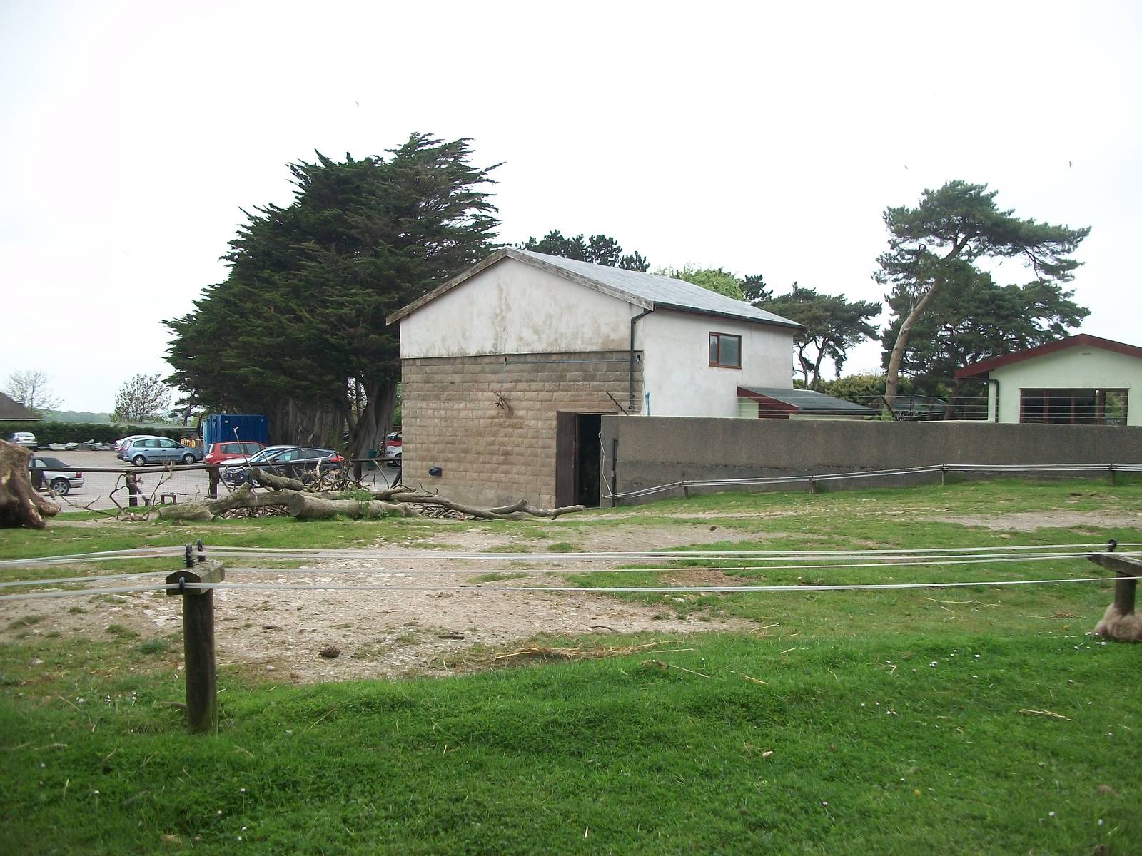 50th Anniversary 18th May 2013