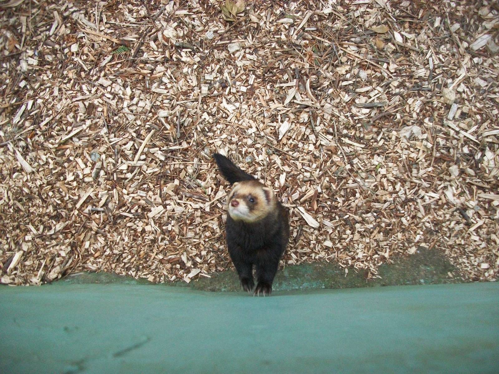 50th Anniversary 18th May 2013