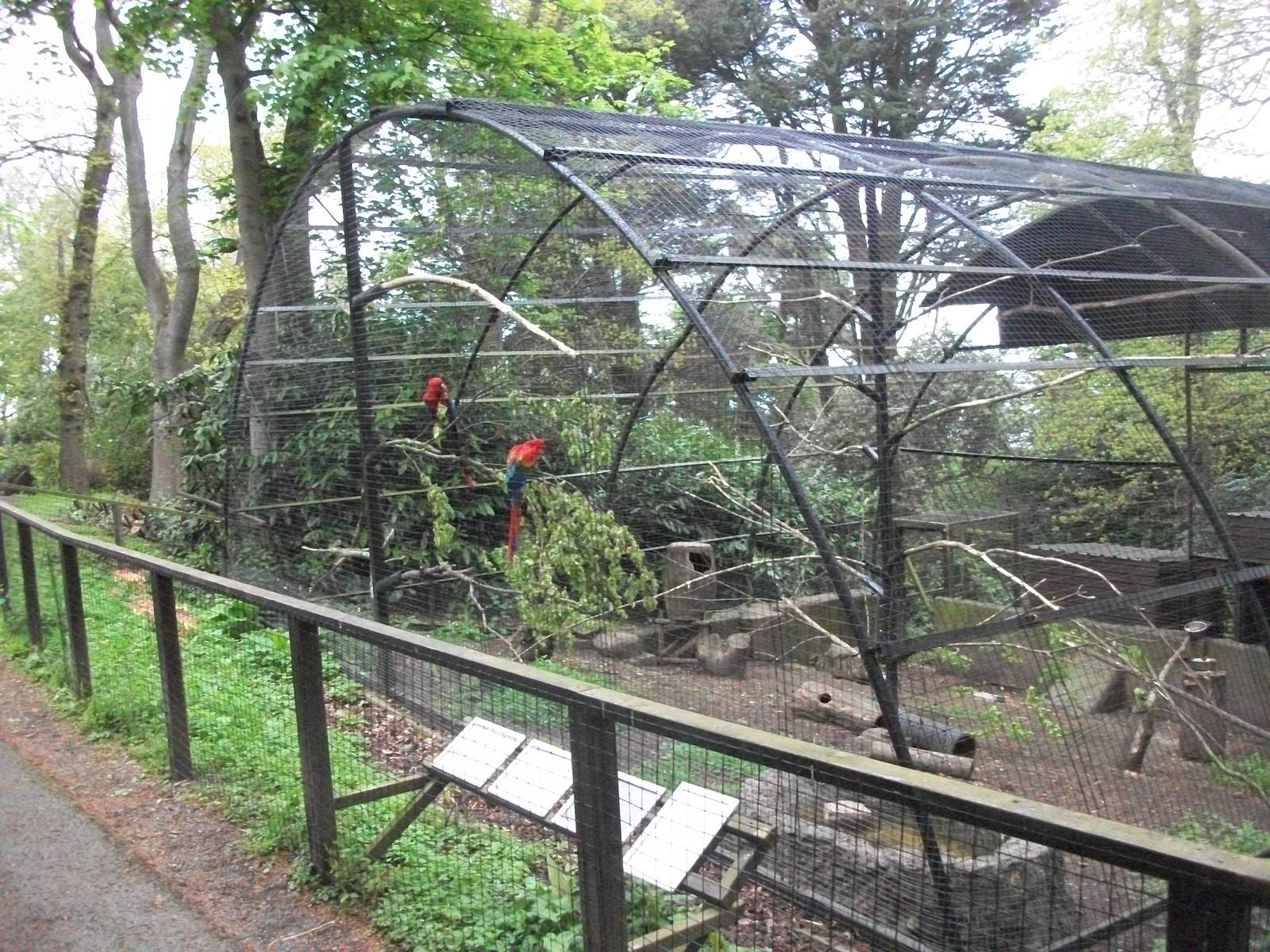 50th Anniversary 18th May 2013