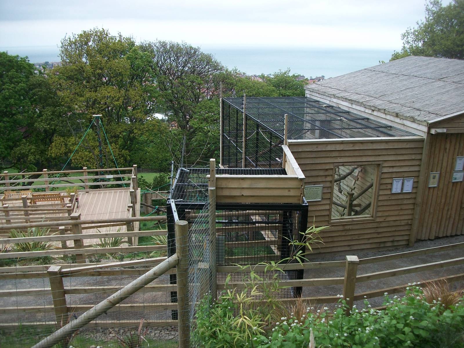 50th Anniversary 18th May 2013