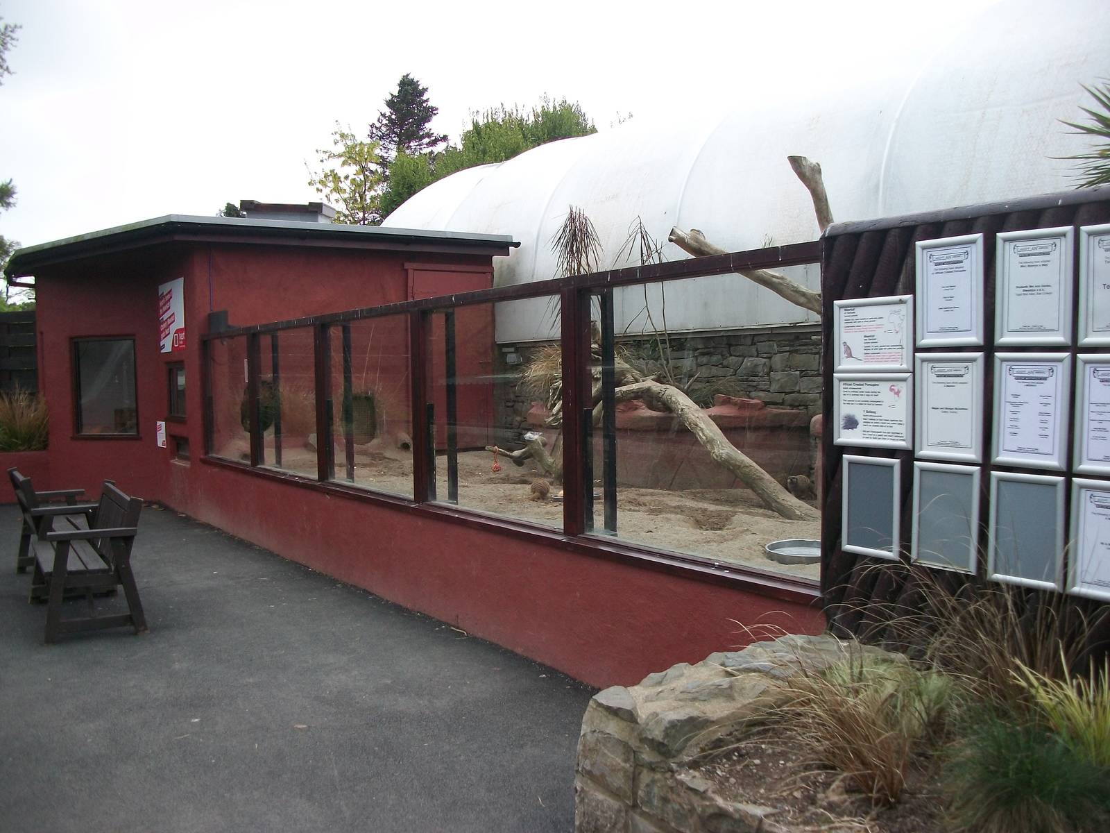 50th Anniversary 18th May 2013