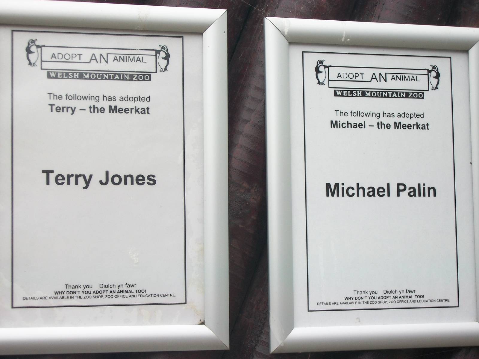 50th Anniversary 18th May 2013