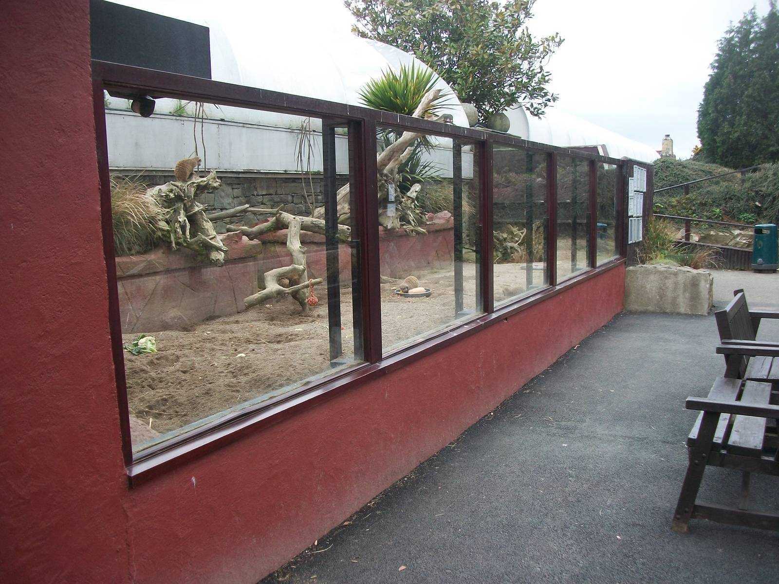 50th Anniversary 18th May 2013