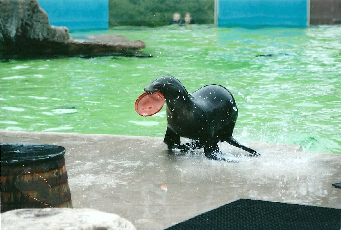 50th Anniversary 18th May 2013