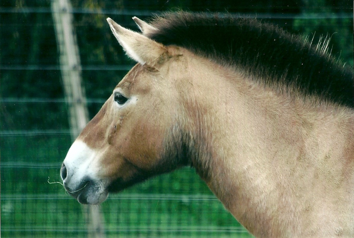 50th Anniversary 18th May 2013