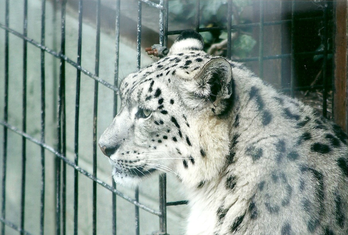 50th Anniversary 18th May 2013