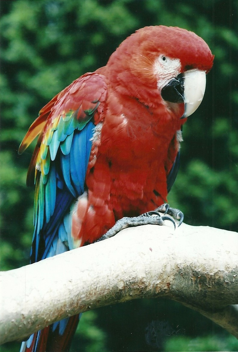 50th Anniversary 18th May 2013