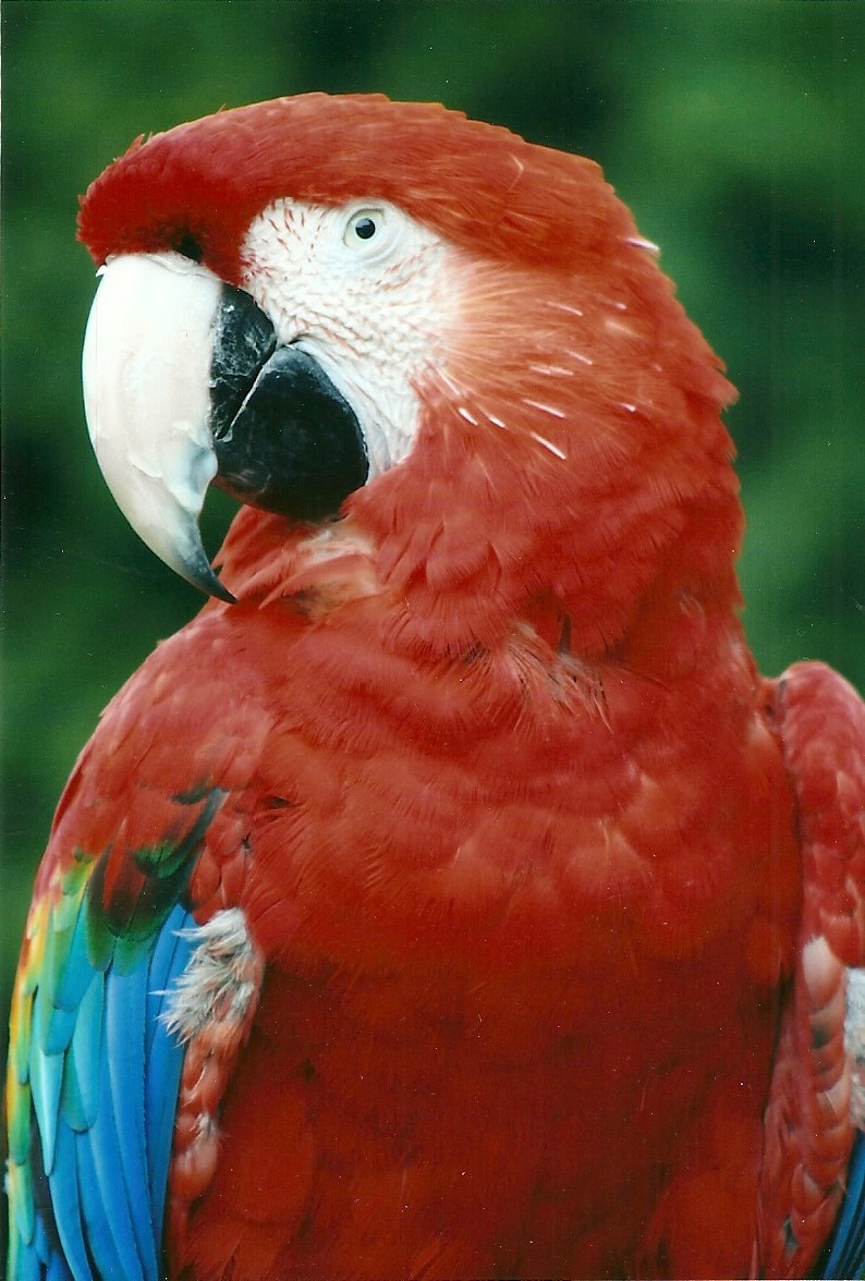 50th Anniversary 18th May 2013