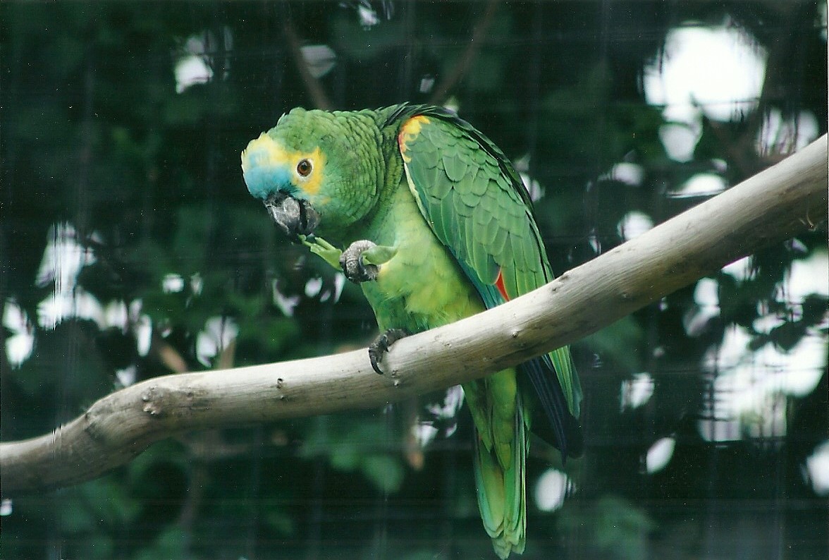 50th Anniversary 18th May 2013