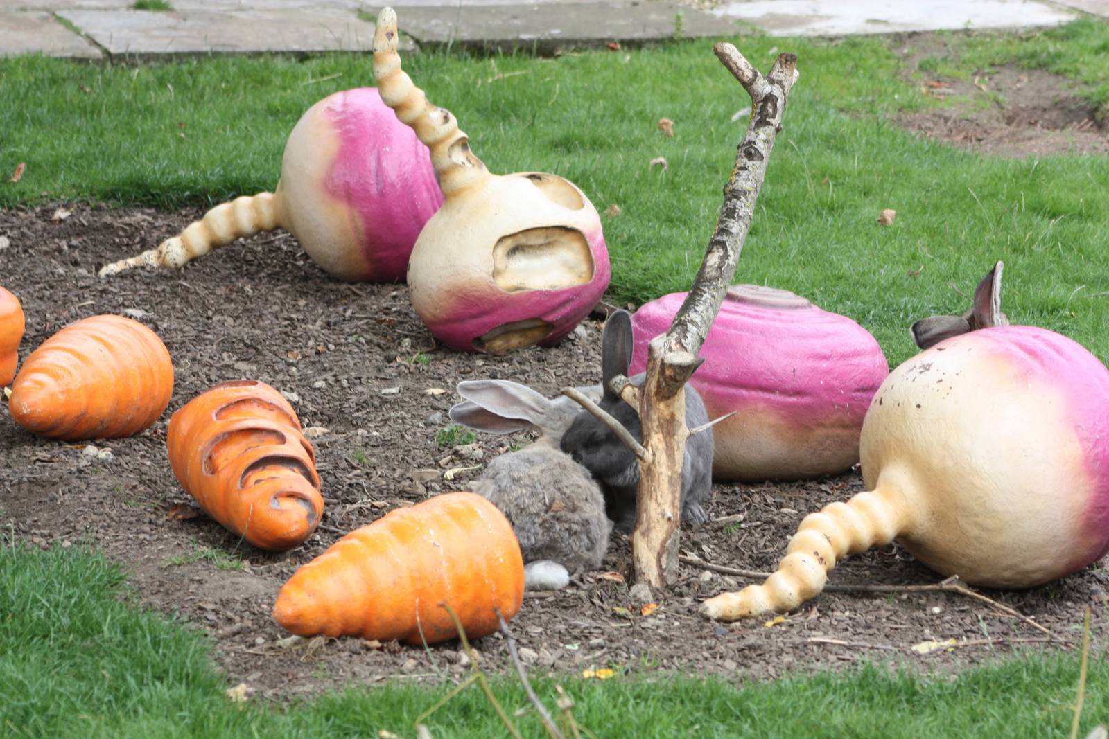 50th Anniversary 28/06/11