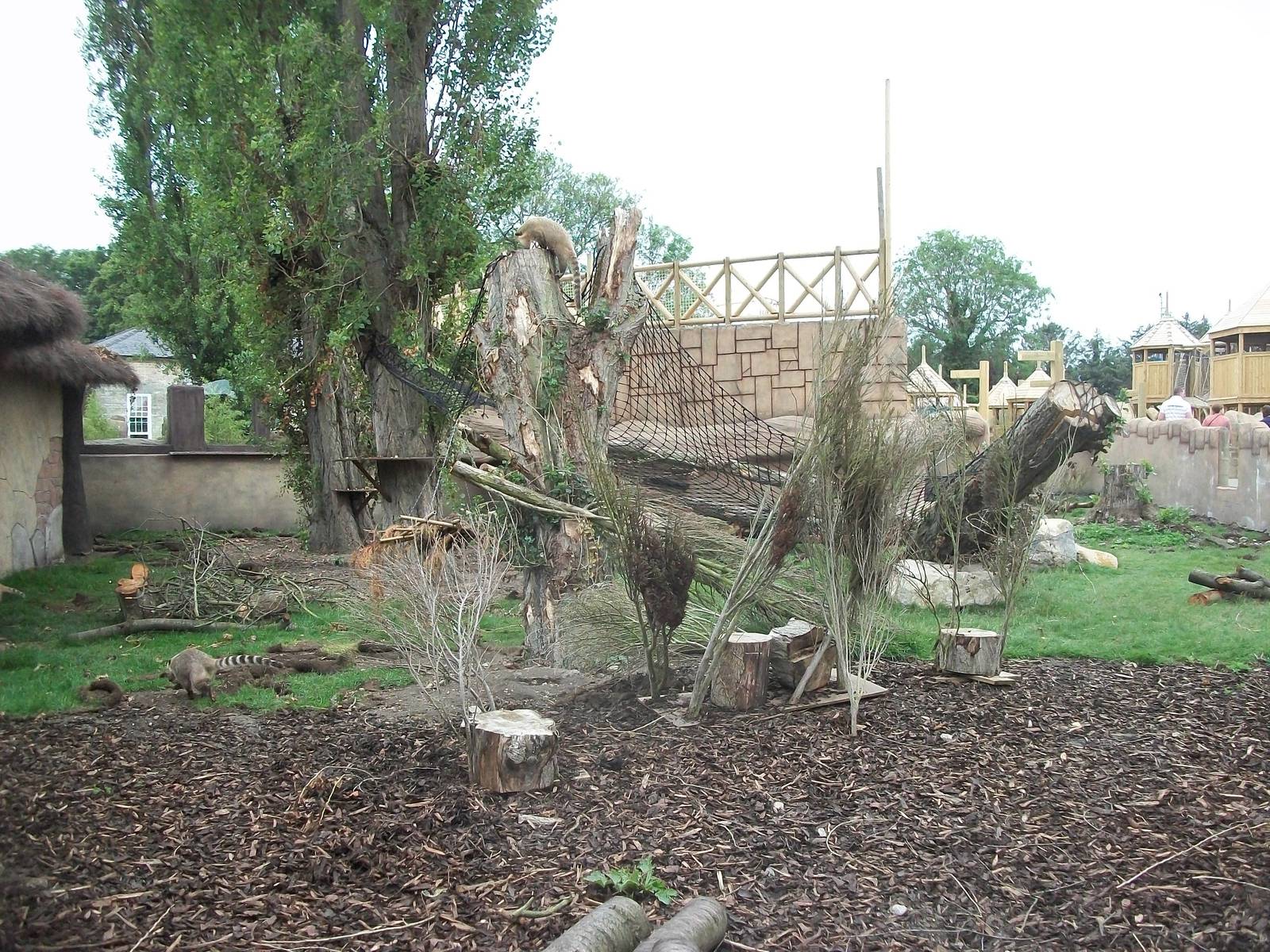 50th Anniversary 28/06/11