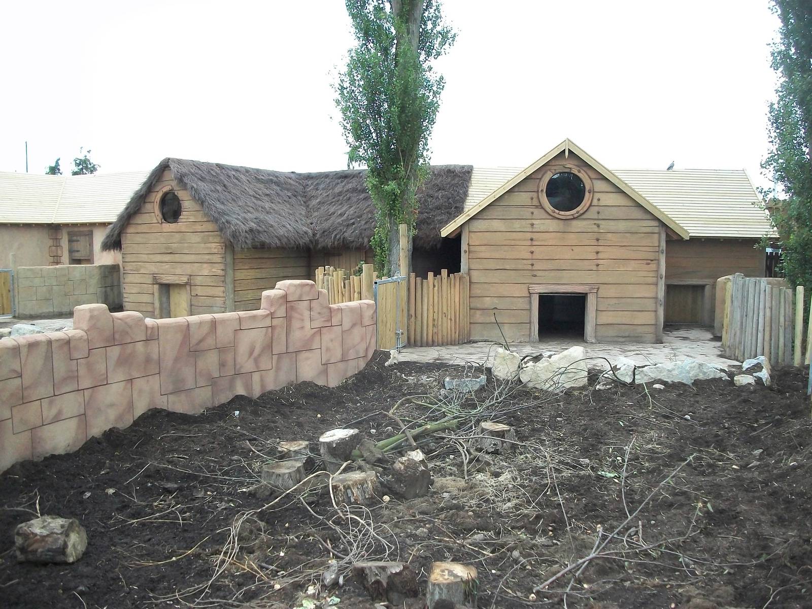 50th Anniversary 28/06/11