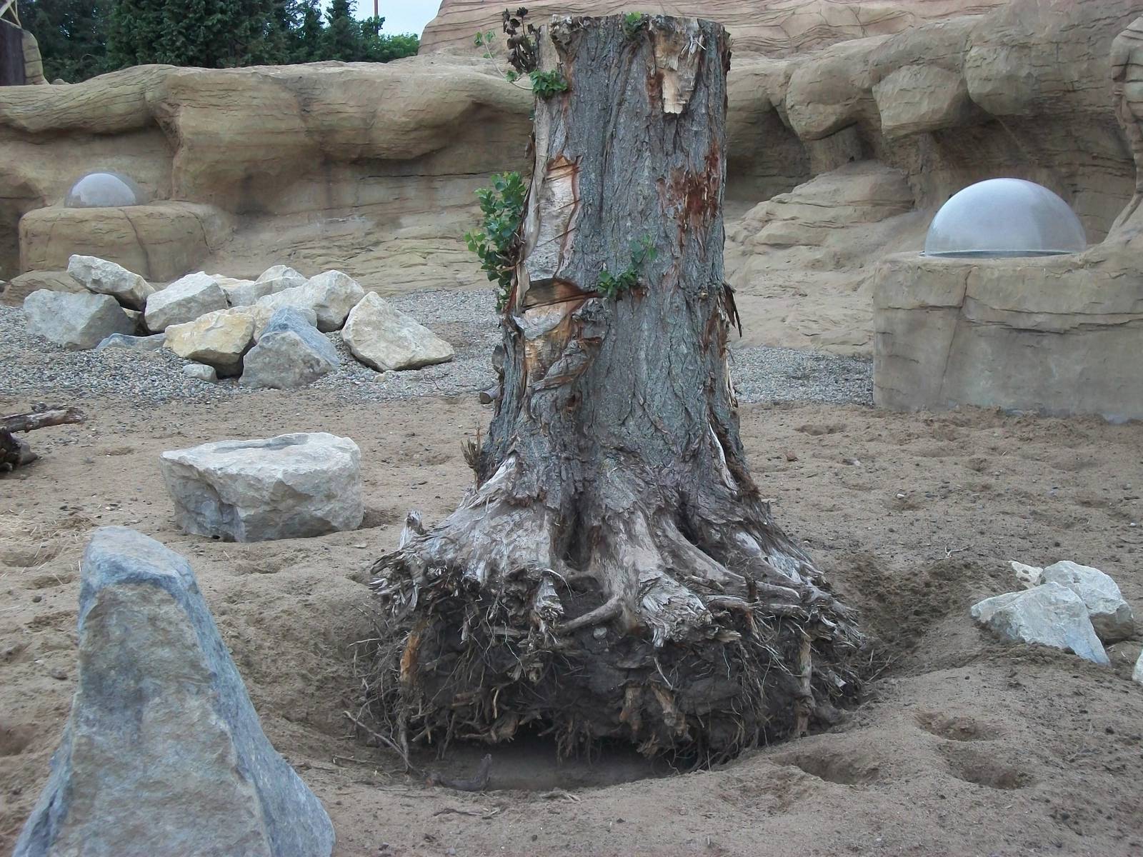 50th Anniversary 28/06/11