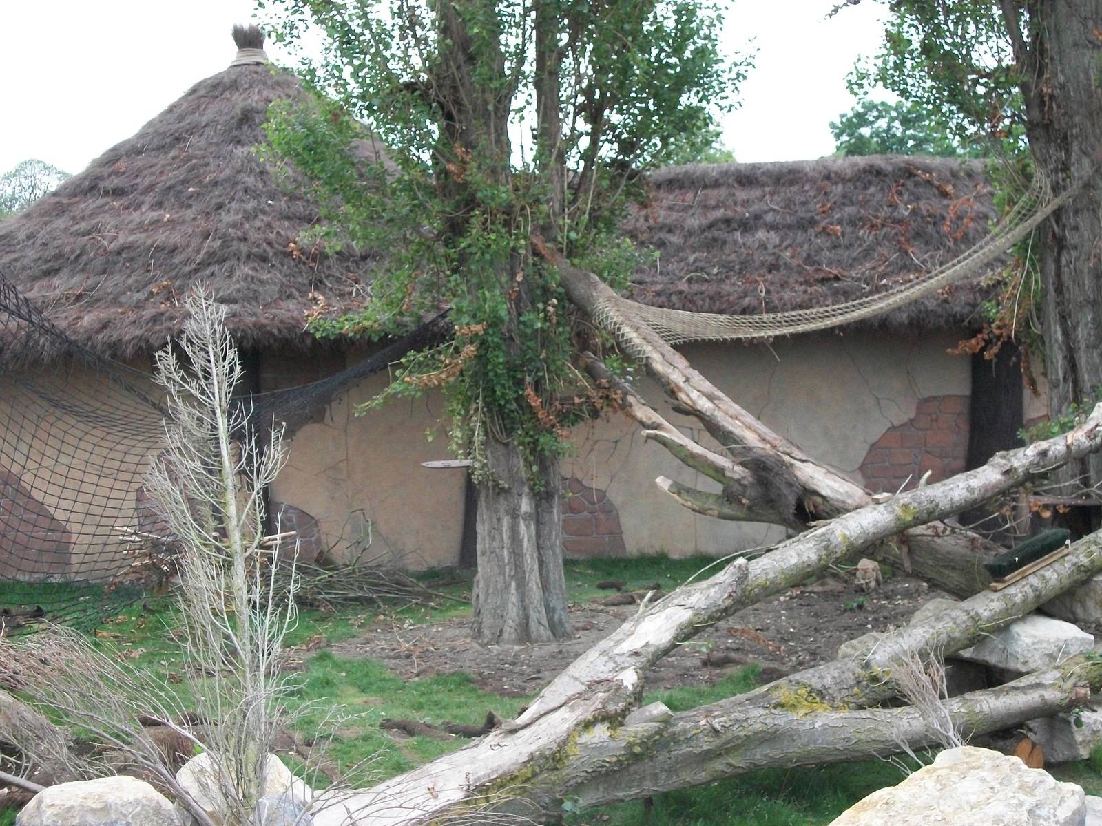 50th Anniversary 28/06/11